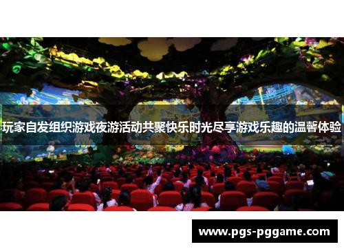 玩家自发组织游戏夜游活动共聚快乐时光尽享游戏乐趣的温馨体验