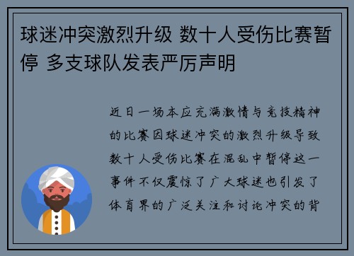 球迷冲突激烈升级 数十人受伤比赛暂停 多支球队发表严厉声明